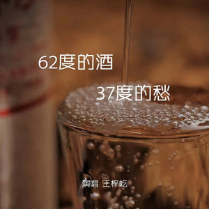 62度的酒37度的愁