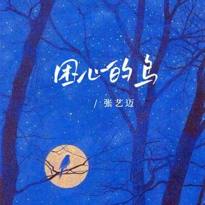 困心的鸟