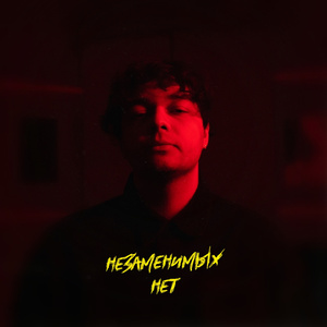 Незаменимых нет