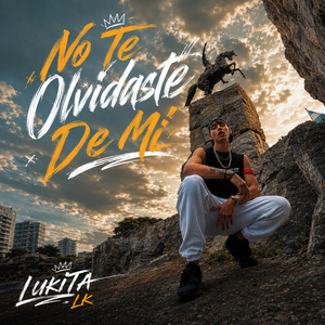 NO TE OLVIDASTE DE MI