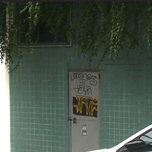 Pensamento não tem Lei