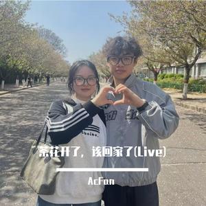 茶花开了，该回家了（LIVE）