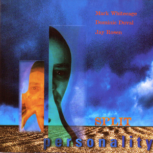 Five O'Clock Follies