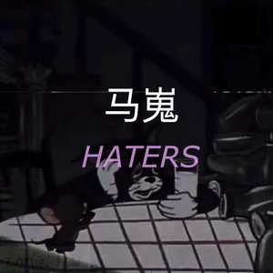 HATERS