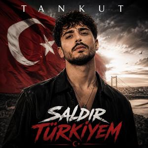 Saldir Turkiyem