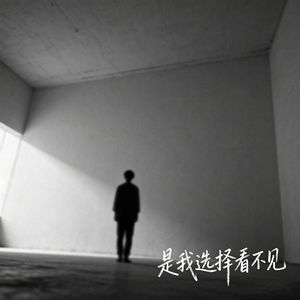 是我选择看不见