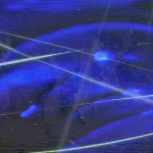 hardly ever smile (without you)