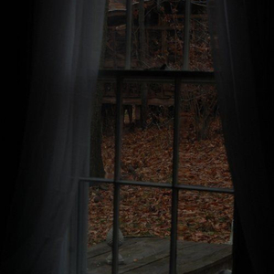 QKThr (the lonely tree) (slowed & reverb with rain)