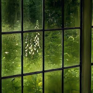 路过人间(郁可唯版)