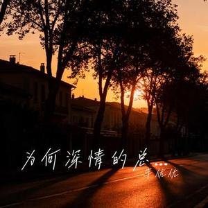 为何深情的总被辜负 (Cover 王佳音)