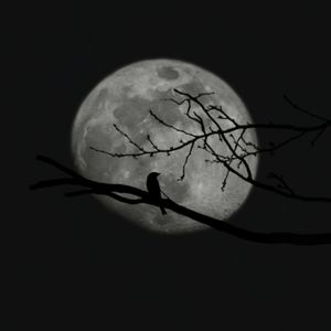 Moon River