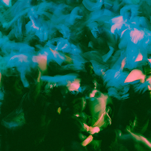 Where the Flowers Never Grow