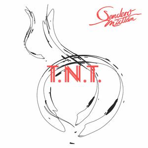 Trinitrotolueno (T.N.T.)
