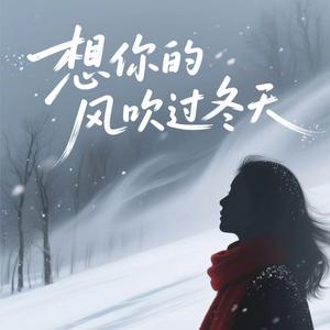 想你的风吹过冬天（复古版）