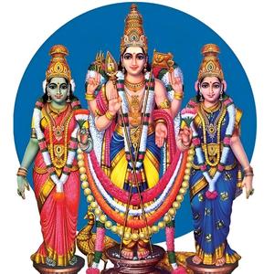 திருப்புகழ் 108 அரிசன வாடை (பழநி)