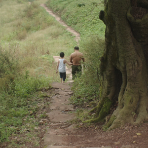 没关系，竹林会记住一切