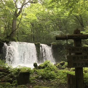 導かれる場所に