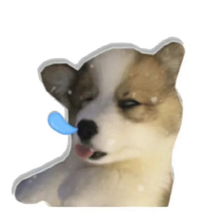 问题是遇见你那刻我就没再想逃