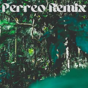Suave Perreo