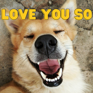 Love You So (Slowed) (Remix)