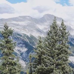 与己和解处的时光轻语