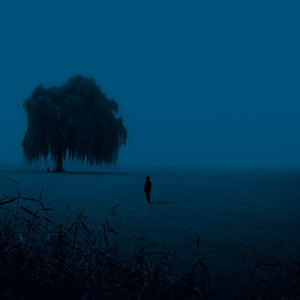 ylang ylang (slowed + reverb)