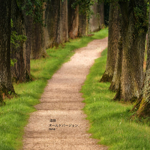 道筋 (old version)