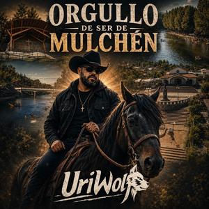 ORGULLO DE SER DE MULCHEN