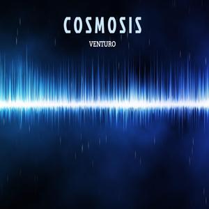 Cosmosis
