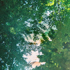 Shutter
