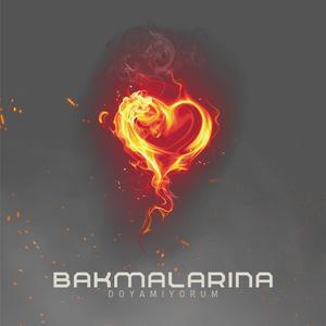 Bakmalarına Doyamıyorum