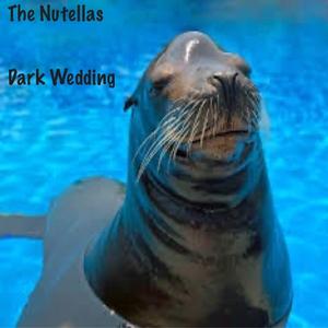 Broken And Shattered Glass