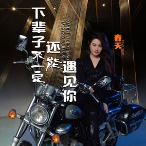 下辈子不一定还能遇见你 (DJ默涵版)