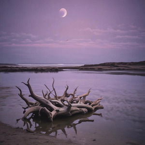 Tidal Whispers