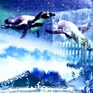 •❈✿ ⭑penguinᴥ⭒✭•