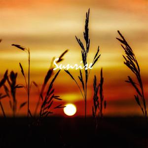 Sunrise (Sunrise)