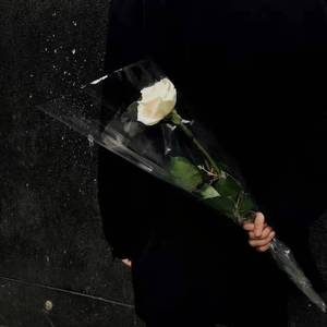 维罗纳（Prod.by Realism）