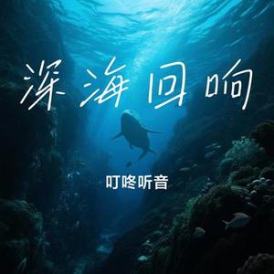 深海回响 (Cover 小蓝背心)