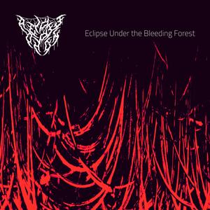 VII. Under Generations of Bone