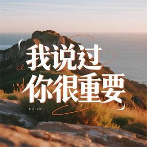 我说过你很重要