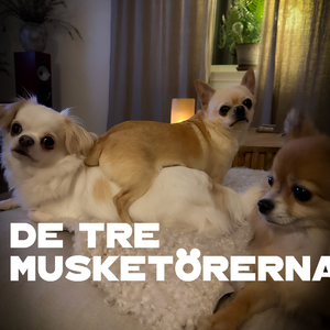 De tre musketörerna