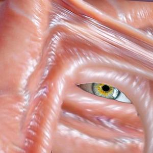 Cruel Youth (feat. Troxum) (Abdu Ali Remix)