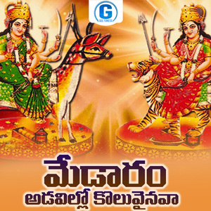 Medaram Adavullo Koluvainava