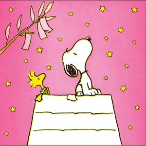 Things I'll Never Say