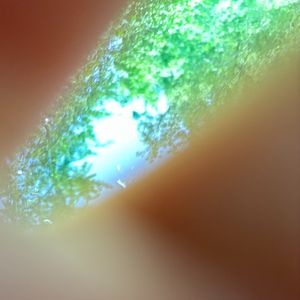 暗马（Stripped）