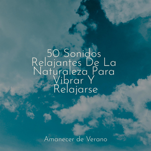 Vuelo de Ensueño Feliz