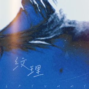 纹理