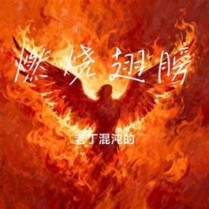 燃烧翅膀 (老丁混沌的 Remix)