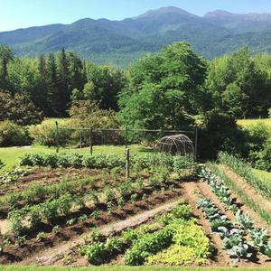 e. allen (chopsticks) [instrumental sample] (Instrumental) (Instrumental)