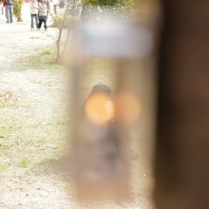 言不由衷说不想你